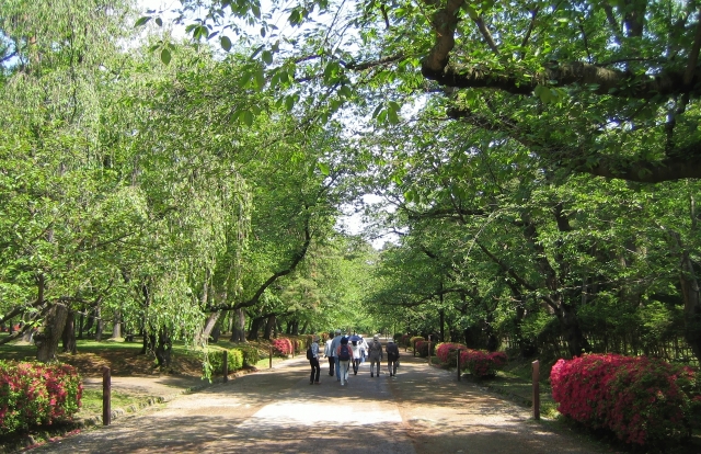 弘前公園の観光体験談！ＧＷはお花見シーズン最高潮